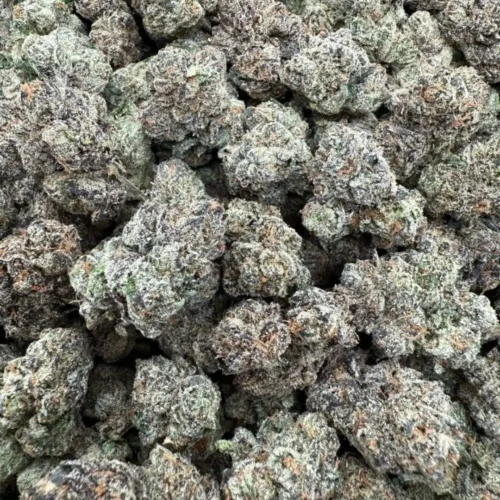 New Project - 2026-03-27T073406.770 Pink cherry blossom (exotics)