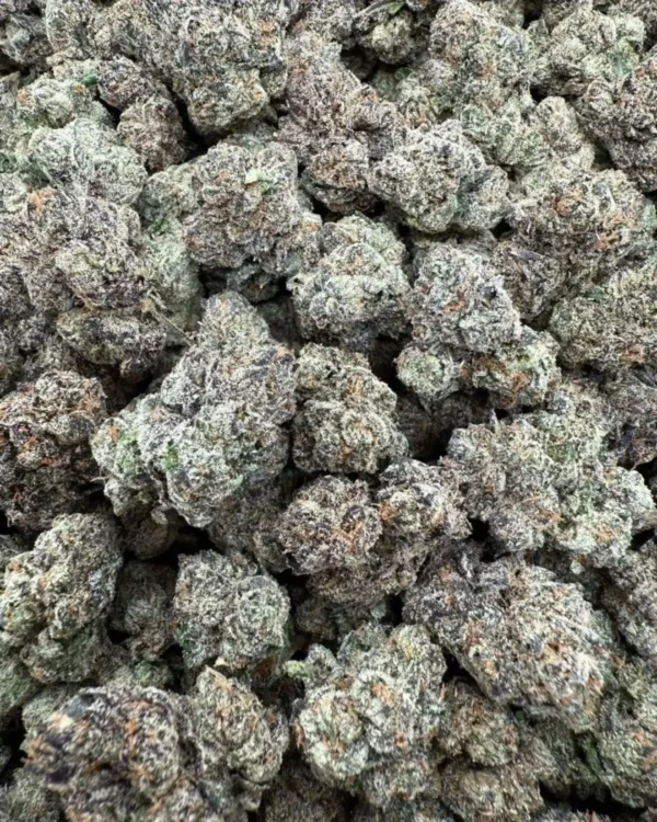Pink cherry blossom (exotics)