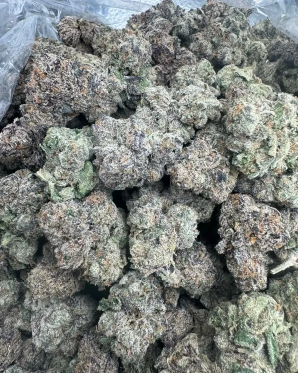 New Project - 2026-03-27T073628.643 Blue cherry poppers