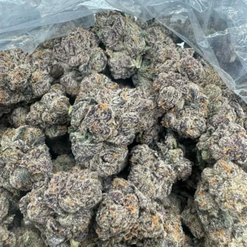 New Project - 2026-03-27T073813.481 cherry poppers 41 (exotics ★)