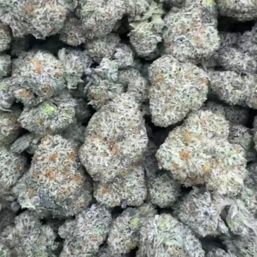 New Project - 2026-03-27T074150.179 Berry latto pop