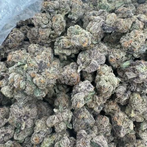 New Project - 2026-03-27T074417.491 Rainbow delight (exotics)