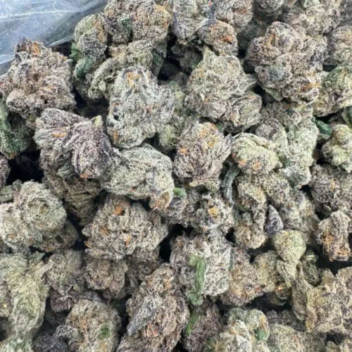 Pablos revenge (exotics)