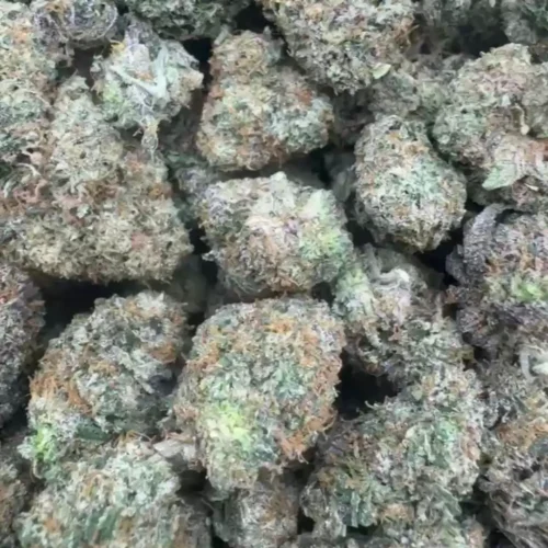 New Project - 2026-03-27T075339.681 Rainbow candy Za