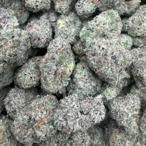 New Project - 2026-03-27T075845.272 Blueberry glaze zonuts