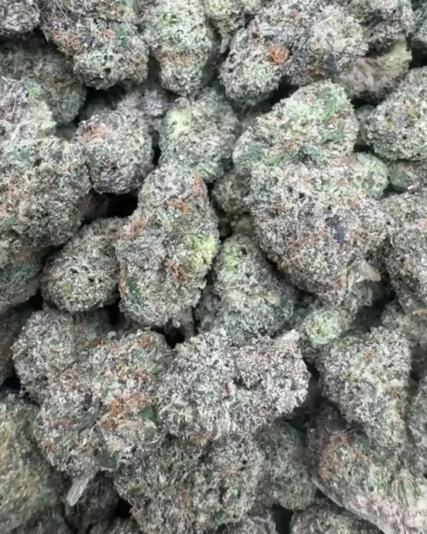 Blueberry glaze zonuts