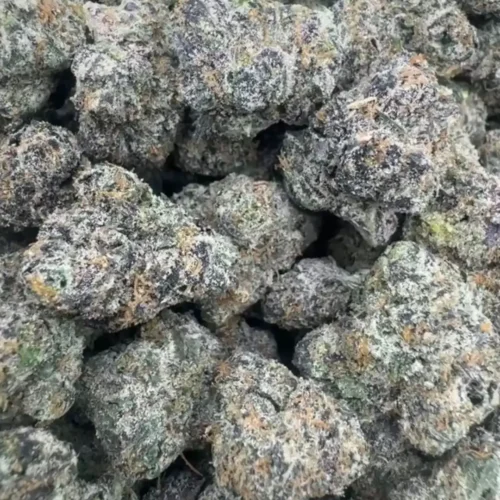 Lemon cherry popperz (exotics⭐️⭐️⭐️⭐️)