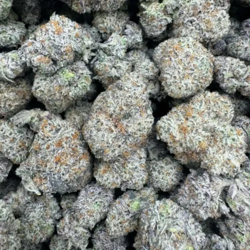 New Project - 2026-03-27T080538.397 Berry latto pop