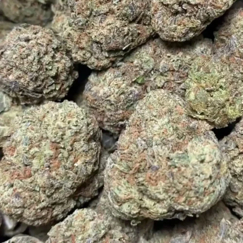 New Project - 2026-03-27T081011.952 BUBBLEGUM 🍬 (CANDY)