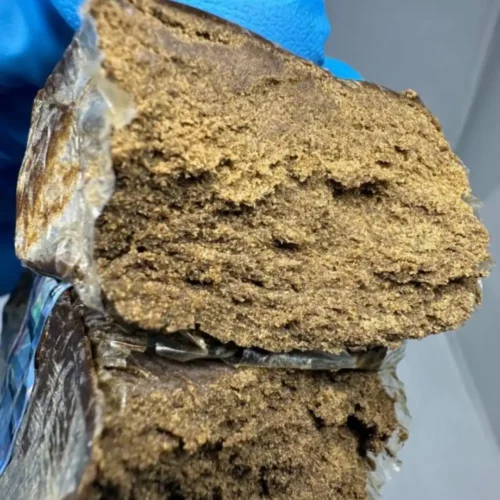 New Project - 2026-03-27T105349.001 bulldog amsterdam hash