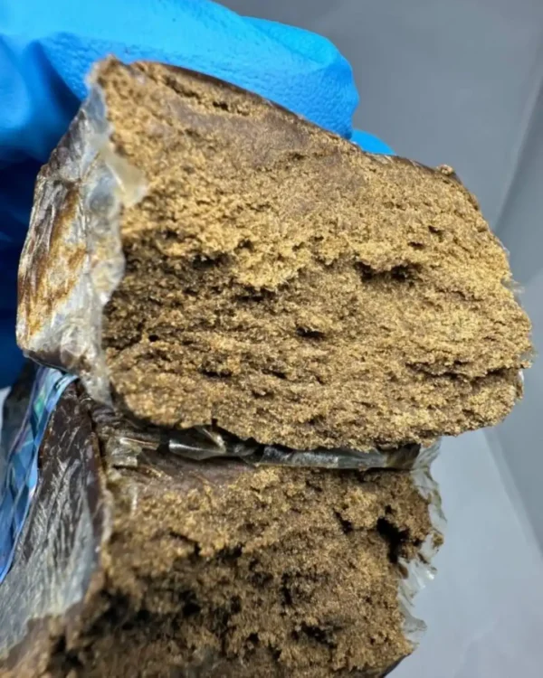 New Project - 2026-03-27T105349.001 bulldog amsterdam hash