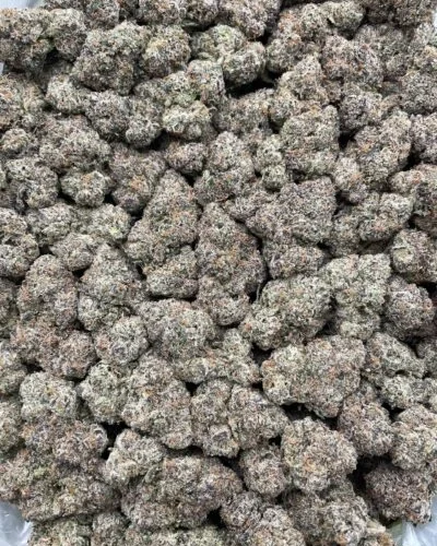 #R86Y Nuclear Fusion Chews 🧬