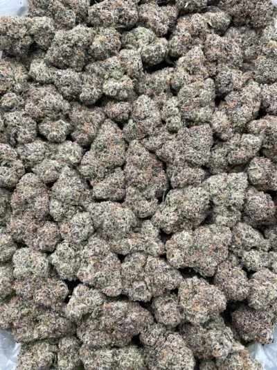 #R86Y Nuclear Fusion Chews 🧬