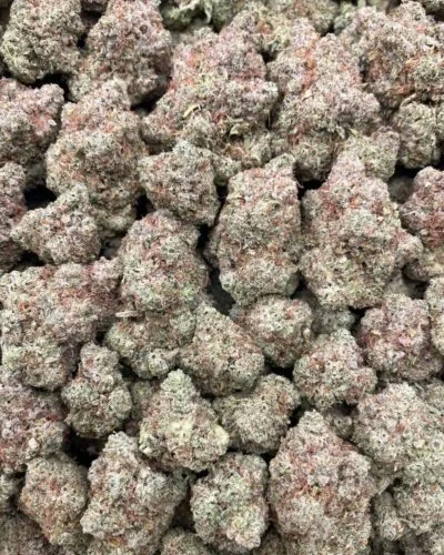 #93B King Kong Kush 🦍