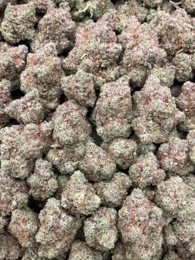 #93B King Kong Kush 🦍