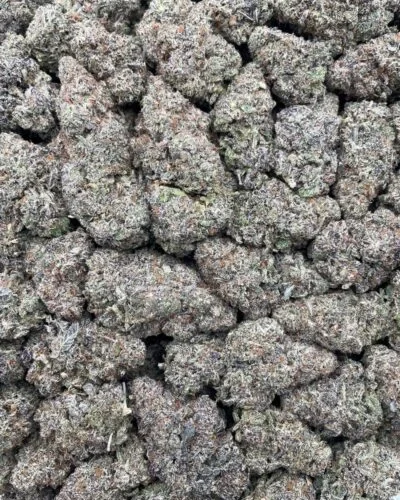 #172C Octane Caviar 🧆