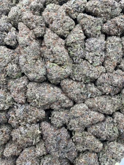 #172C Octane Caviar 🧆