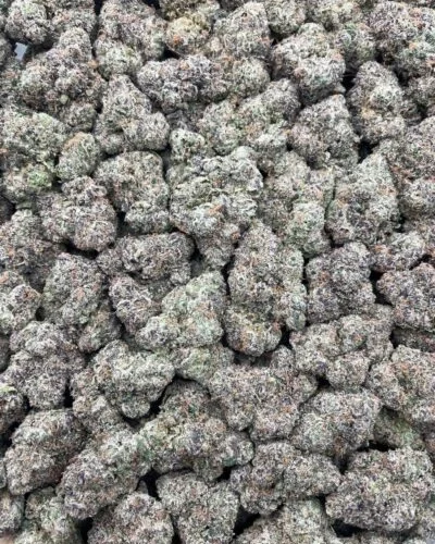 #R88Y Black Cherry Pucker 💋