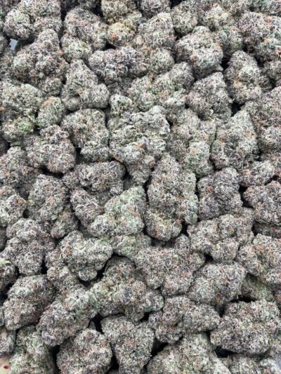 #R88Y Black Cherry Pucker 💋