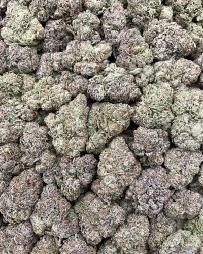#44B Sweet Tarts 🍭