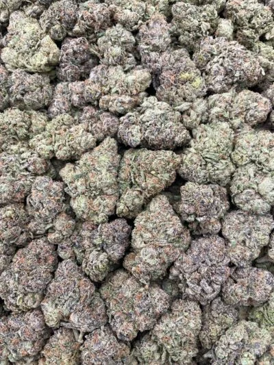 #44B Sweet Tarts 🍭