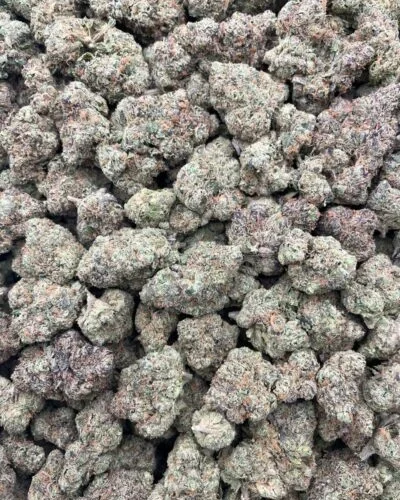#46A Lemon Chewz 🍋