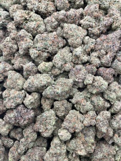 #46A Lemon Chewz 🍋