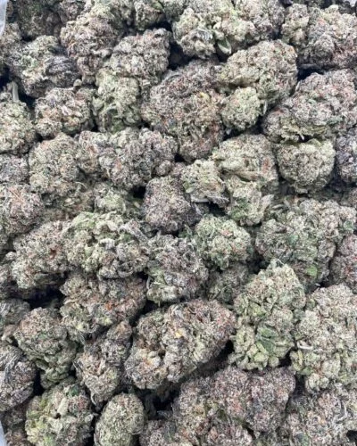 #121A Apple Fritter 🍎