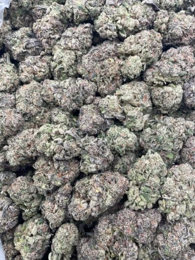 #121A Apple Fritter 🍎