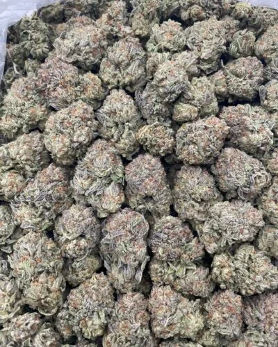#R2C Gelato Cannoli 🍨 💨 SMOKER DEAL 💨