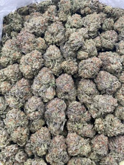 #R2C Gelato Cannoli 🍨 💨 SMOKER DEAL 💨