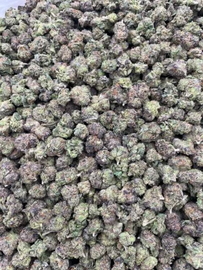 #193B Zour Razzles Smalls 🍬