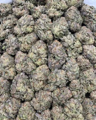 #175B Sour Jacks 🍭