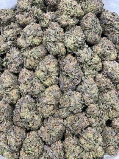 #175B Sour Jacks 🍭